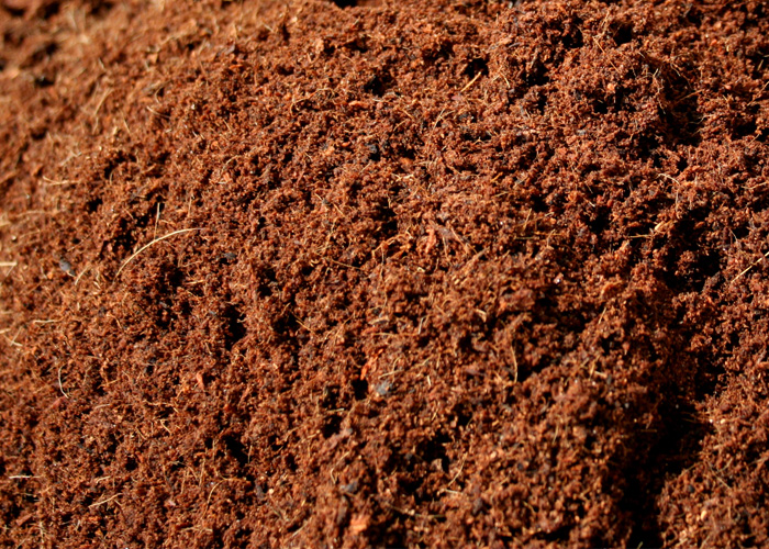 cocopeat